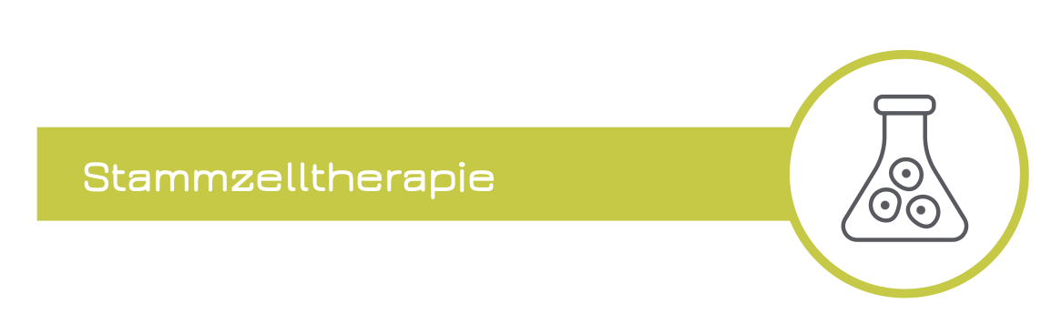Stammzelltherapie Icon
