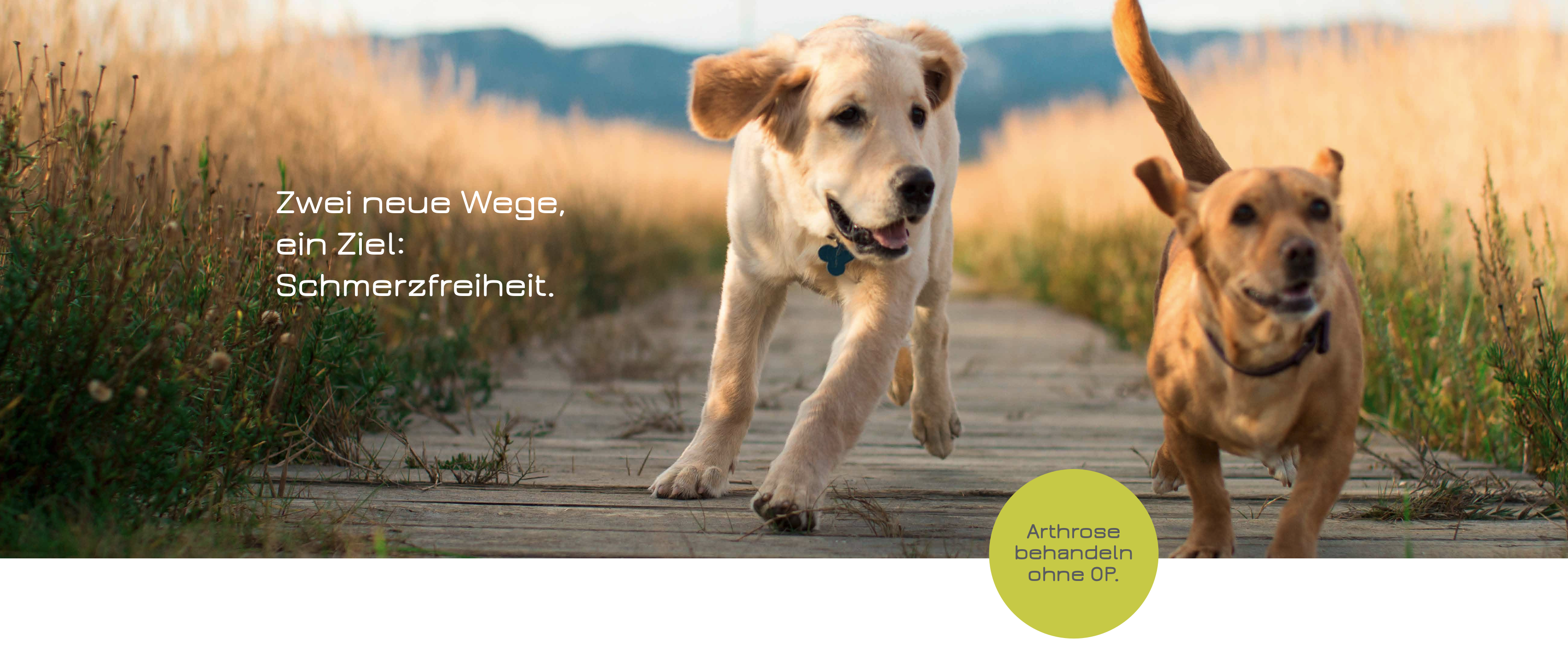 Hero Bild Arthrose